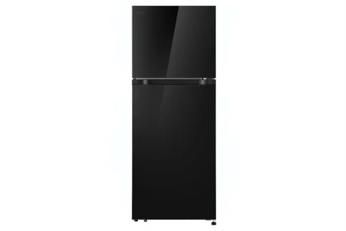 Tủ lạnh LG Inverter 217 lít T21BG