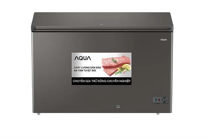 Tủ đông Aqua Inverter 307 lít AQF-C4101EN