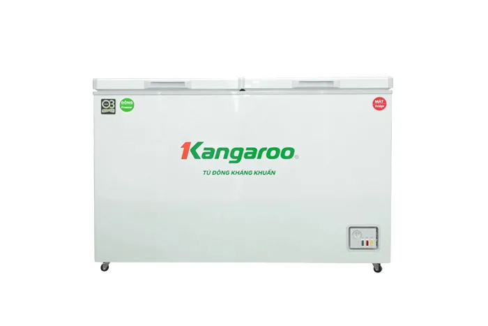 Tủ đông kháng khuẩn 252 lít KG252C2N