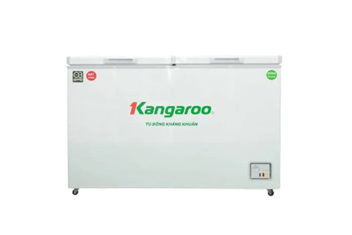 Tủ đông kháng khuẩn 327 lít KG327C2N